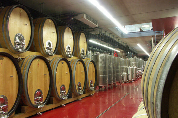 Weinkeller mit Holzfässern und Edelstahltanks im Weingut Gamlitz