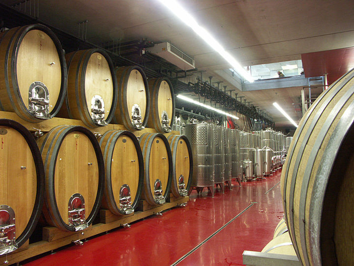 Weinkeller mit Holzfässern und Edelstahltanks im Weingut Gamlitz